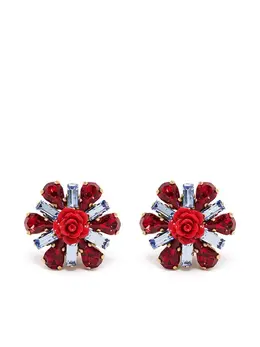 Dolce & Gabbana: Серьги  Crystal
