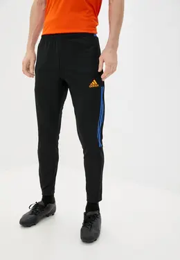 adidas: Спортивные брюки 