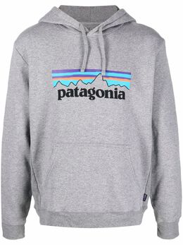 Patagonia: Толстовка с принтом 