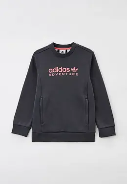 adidas Originals: Серый свитер