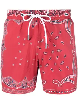ETRO: Плавки 
