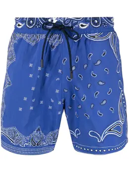 ETRO: Плавки 