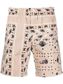 MSGM: Шорты с принтом 