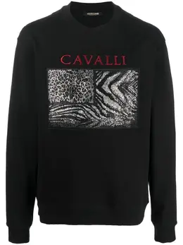 Roberto Cavalli: Свитшот с принтом 