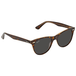 Ray Ban: Очки  Wayfarer II