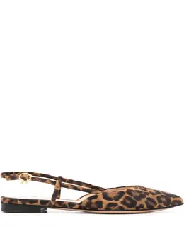 Gianvito Rossi: Коричневые туфли 