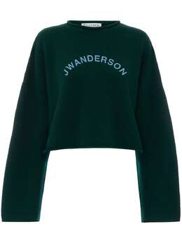 JW Anderson: Свитер с принтом 