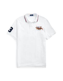 POLO RALPH LAUREN: Многоцветное поло 