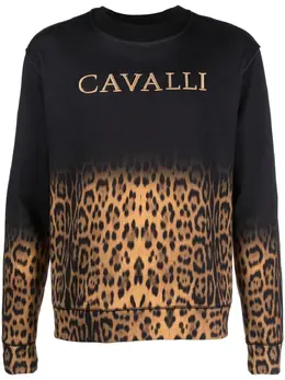 Roberto Cavalli: Свитшот с леопардовым принтом 