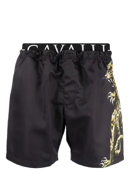 Roberto Cavalli: Плавки 