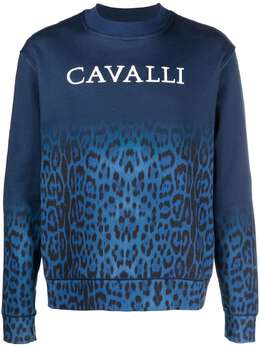 Roberto Cavalli: Свитшот с леопардовым принтом 