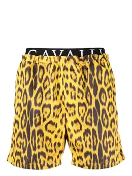 Roberto Cavalli: Плавки 