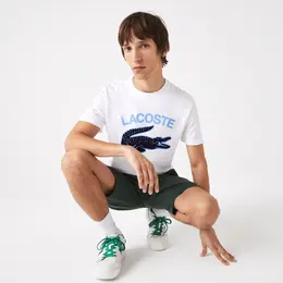 Lacoste: Футболка с принтом 