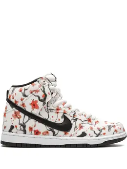 Nike: Многоцветные кроссовки  SB Dunk High Pro