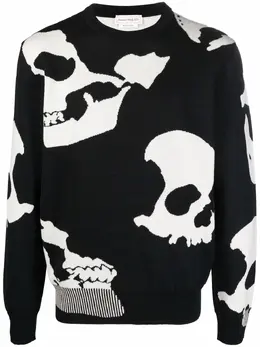 Alexander McQueen: Свитер Skull с принтом