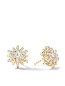 David Yurman: Серьги 