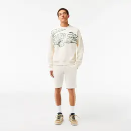 Lacoste: Хлопковые шорты 