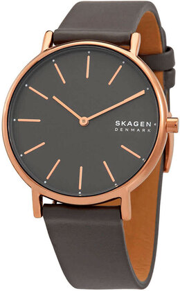 Skagen: Часы 