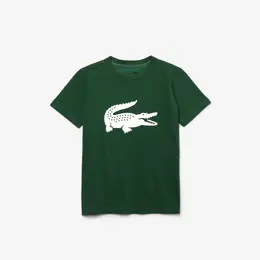 Lacoste: Спортивная футболка  Sport