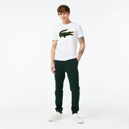 Lacoste: Спортивные брюки 