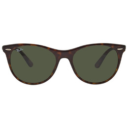 Ray Ban: Очки  Wayfarer II