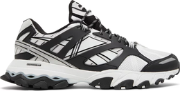 Reebok: Белые кроссовки  DMX Trail Shadow