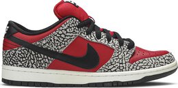 Nike: Красные кроссовки  Dunk Low Premium SB