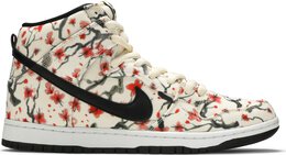 Nike: Многоцветные кроссовки  SB Dunk High Pro