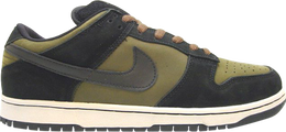 Nike: Зелёные кроссовки  Dunk Low Pro SB