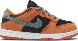 Nike: Обувь  Dunk Low SP