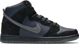 Nike: Синие кроссовки  SB Dunk High Pro