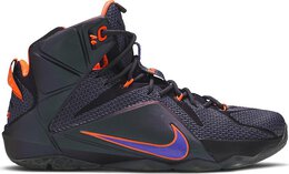 Nike: Фиолетовые кроссовки  Lebron 12