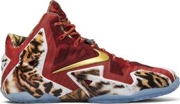 Nike: Многоцветные кроссовки  Lebron 11