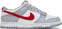 Nike: Красные кроссовки  Dunk Low