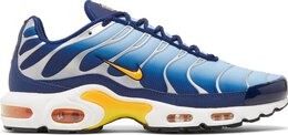 Nike: Голубые кроссовки  Air Max Plus