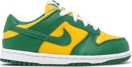 Nike: Обувь  Dunk Low SP