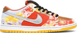 Nike: Многоцветные кроссовки  Dunk Low Pro SB