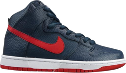 Nike: Синие кроссовки  Dunk High Pro SB