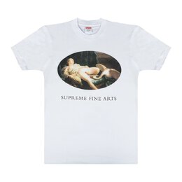 Supreme: Белая футболка  Leda and the Swan