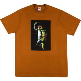 Supreme: Коричневая футболка  Raphael