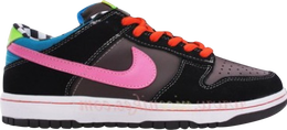 Nike: Многоцветные кроссовки  Dunk Low Pro SB