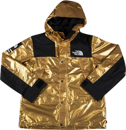 Supreme x The North Face Metallic Mountain Parka Gold ss18j2 gold gold lpn22626467