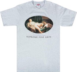 Supreme: Серая футболка  Leda and the Swan