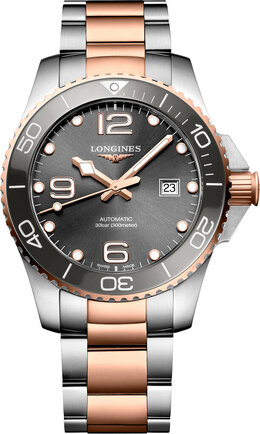 Longines: Часы  HydroConquest