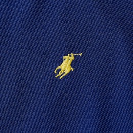 Polo Ralph Lauren: Осенняя футболка 