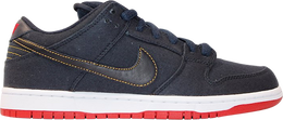 Nike: Синие кроссовки  Dunk Low Pro SB