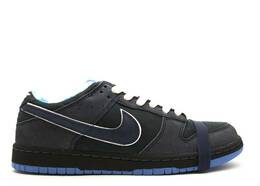 Nike: Голубые кроссовки  Dunk Low Premium SB