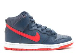 Nike: Синие кроссовки  Dunk High Pro SB