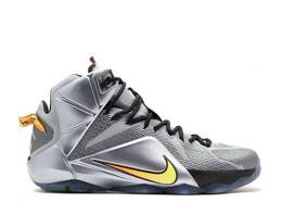 Nike: Серые кроссовки  Lebron 12