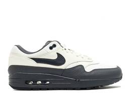 Nike: Тёмные кроссовки  Air Max 1 Premium